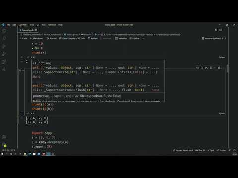 Python Make Copy Of Variable