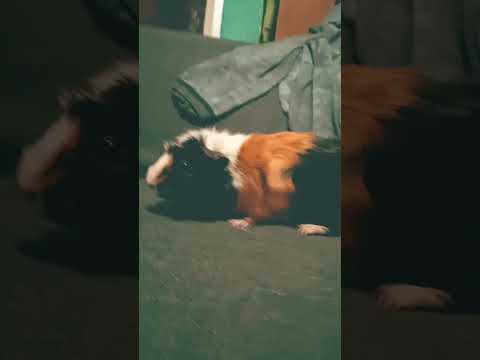 9 de octubre de 2024