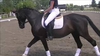 Video von Wind Lady