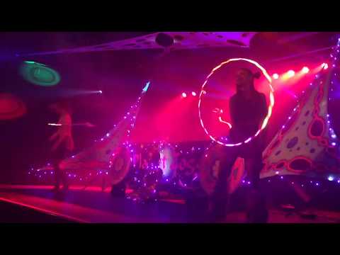 Hoopers and Dill @ Planet Zogg Free Party