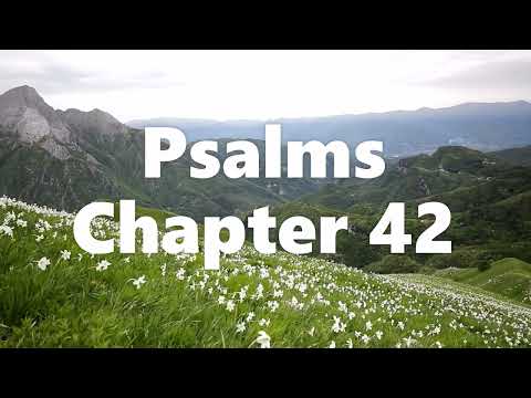 The Book of Psalms Chapter 42 - New King James Version (NKJV) - Audio Bible