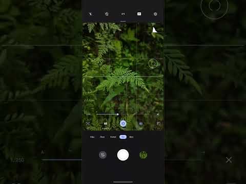 How to use Pro mode on mobile camera to click best photos | #photography #photoediting #naturelovers