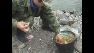 Рыбалка в красноярском водохранилище на карпа