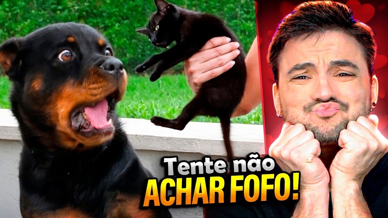 TENTE NÃO ACHAR FOFO!!!