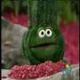 Sesame Street Telly S Aquarium
