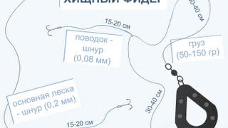Ловля хищников на фидер оснастка