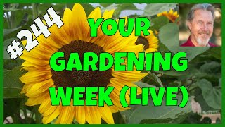 Bad Gardening Advice (Q&A)