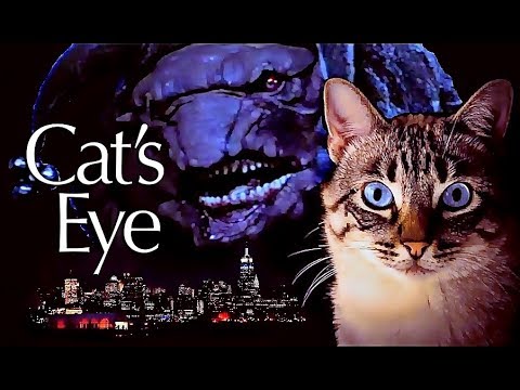 10 Thing's You Didn't Know About CatsEye