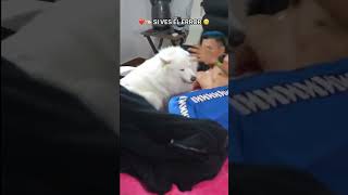 FINAL EPICO! (YouTube no quiere que mires este video) #shorts #tiktok