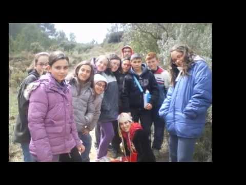 ACTIVITATS CURS 2011 2012