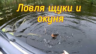 Ссылка