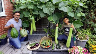 Harvesting Deshi Vegetables In Uk 2021