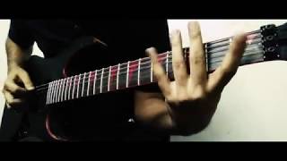 Pig Destroyer - The Diplomat [Guitar Cover w/ Lyrics in CC]