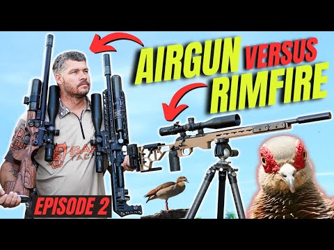 AIRGUN VERSUS RIMFIRE (EP. 2) I AIRGUN HUNTING WILD PIGEONS IN AFRICA I RIMFIRE PEST CONTROL