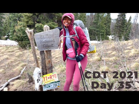 Continental Divide Trail 2021 thru-hike Day 35// Colorado! I hiked the length of New Mexico!!