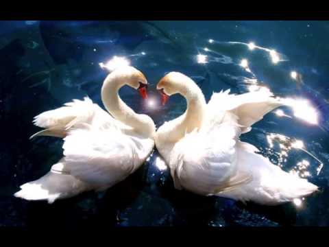 Ya Ham Hua Jai    Very Nice Lao Song SD 480p