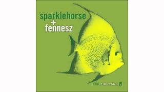 Sparklehorse + Fennesz - NC Bongo Buddy - In The Fishtank 15