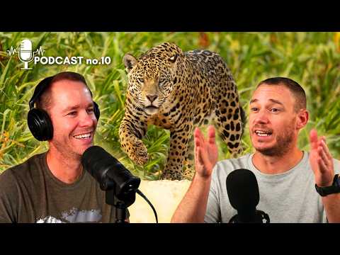 Photographing Jaguars in the Pantanal – What It Takes & What to Expect