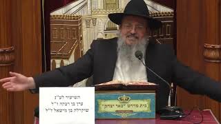 שיעור חי  -LIVE -הרב דוד לוי ספר משלי עם הרבה אמונה ובשעה 20:15 שיעור הלכה ואגדה עם הרב שמשון כהן