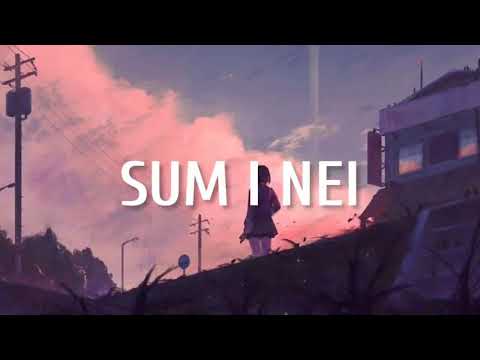 Young Fella Ft Mendal & S Dawg - Sum I Nei (Lyrics Video)