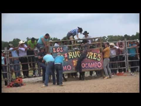 ESPINITA DE ACAPULCO VS BATALLA NAVAL DE DESTRUCTORES EN WENDELL NORTH CAROLINA