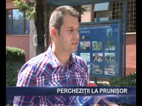 perchezitii la prunisor