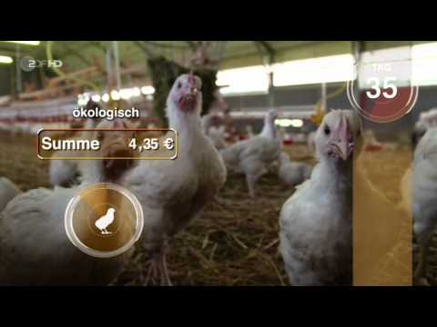 Projekt Hühnerhof - Folge 2/2 - Dirk Steffens und die Macht der Verbraucher - ZDFzeit