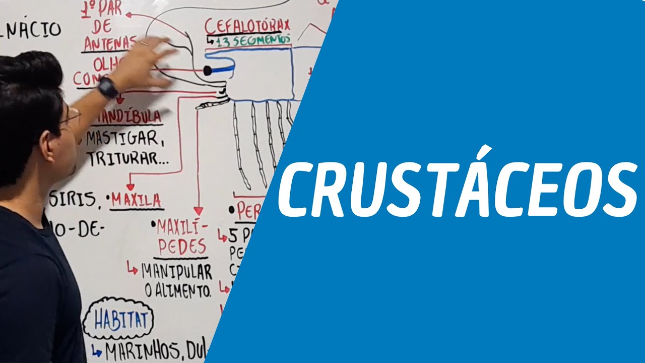 CRUSTÁCEOS (ARTRÓPODES) ZOOLOGIA - Prof. Emerson Inácio