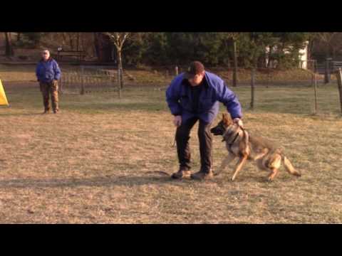 Lara z Jukasu - protection - 12 months