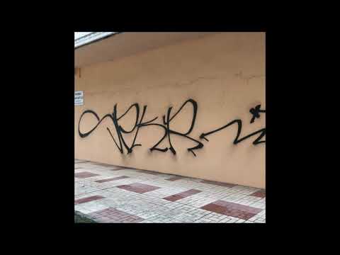 MANI CARLOS CAMARÓN - DESASTRE