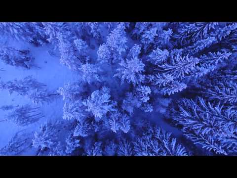 Indukuri Lakshmi kadhile o kalama