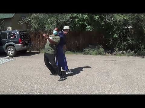 Lion Opens Mouth application (Baguazhang) by Sifu Kelly Pt 1