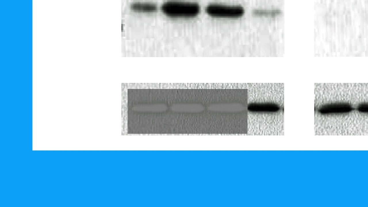 F4F95583B9B532F55933FA98BE489D#2