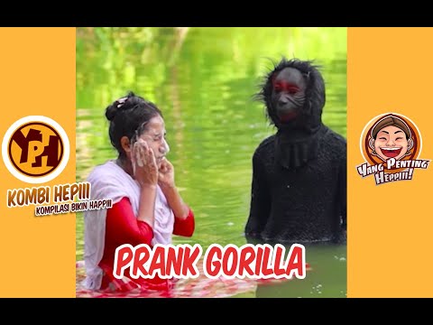 kombi-heppiii-gorilla-prank