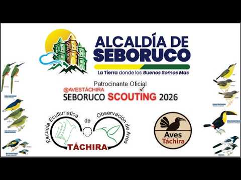 Observación de Aves en Seboruco SCOUTING 2026