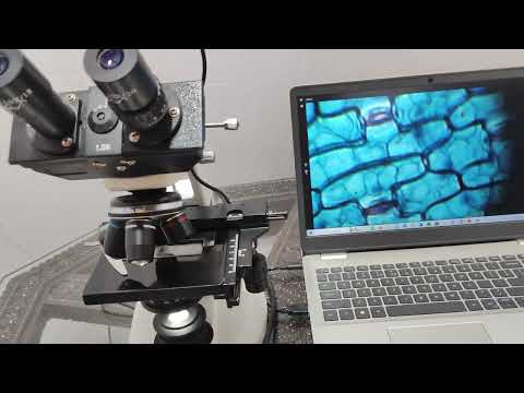 Biological Trinocular Microscope With Digital Camera