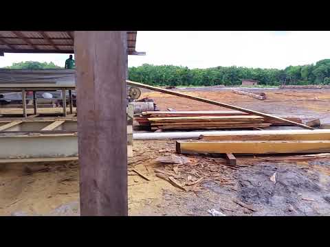 Hurdle Mill Cutting Greenheart