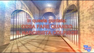 'Cosa fare quando il narcisista colpisce' episoode image