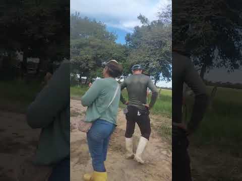 Altercado por servidumbre en Hato Corozal terminó en grave agresión 3