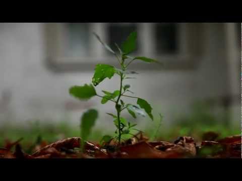 Mike Briz and Eastgate - Calm Down