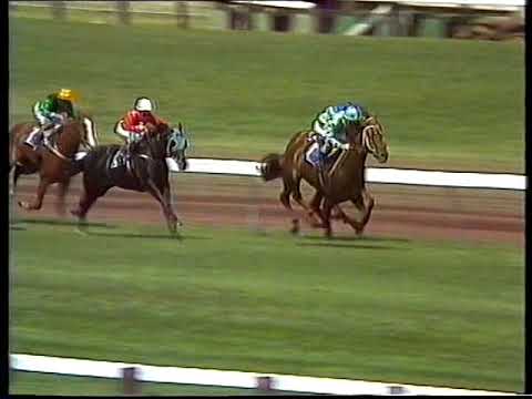 1984 VRC Derby