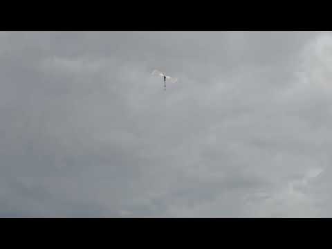 20251026 - Voo Trex 700 - Urutaí-GO