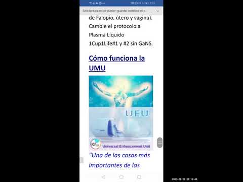 2020 08 26 PM Public Teaching in Spanish - Enseñanzas públicas en Español