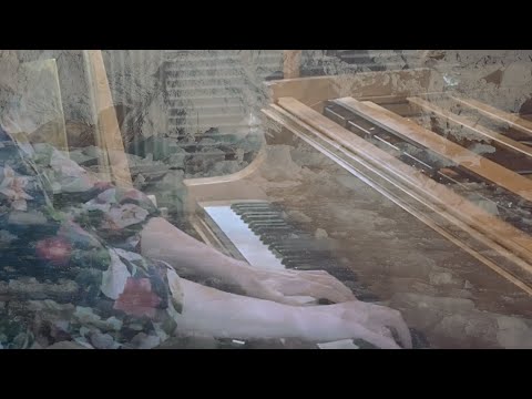 Stasis - Fiona Joy Hawkins