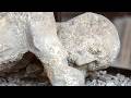 Things That Don't Make Sense About The Disaster Of Pompeii