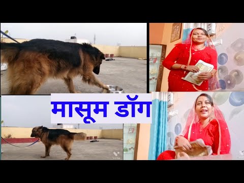 मासूम डॉग कि कहानी | Dog video | Vlog | Rubi Singh Vlog | German Shepherd | Agressive Dog