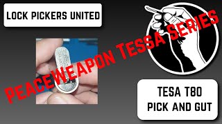 Peace Weapon TESSA Series part 2 - the T80