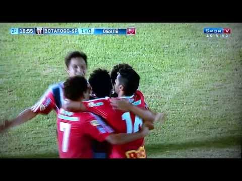 Botafogo 3 x 1 Oeste-SP - Gol de Daniel - Paulistão 2014