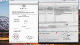 How to Apostille a Texas Birth Certificate signed by the State Registrar