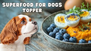 Healthy Superfood Dog Food Topper – Supports Digestion & Immunity